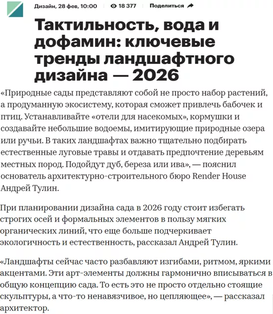 РБК_комментарий.png